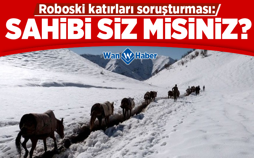 Roboski katırları soruşturması: Sahibi siz misiniz?