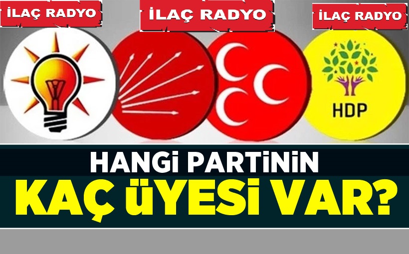 Hangi partinin kaç üyesi var ?