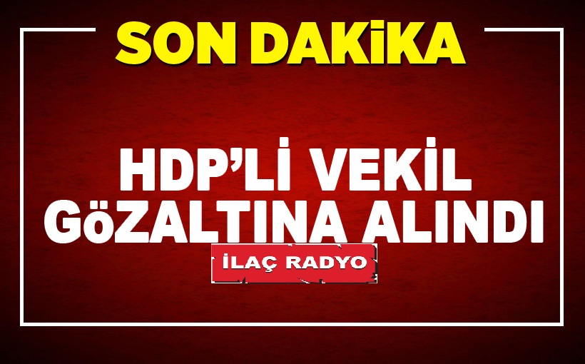 HDP'li vekil Mehmet Emin Adıyaman gözaltına alındı