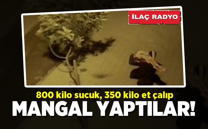 800 kilo sucuk, 350 kilo et çalıp mangal yaptılar!