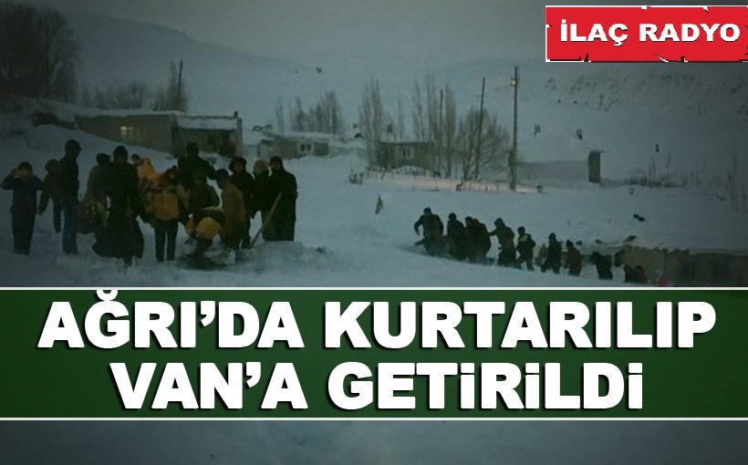 Ağrı'da Kurtarılıp Van'a Getirildi