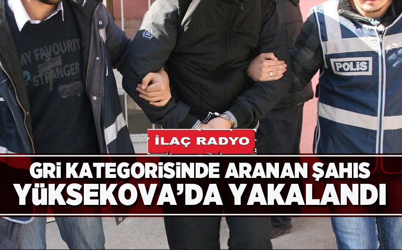 Gri kategorisinde aranan şahıs Yüksekova'da yakalandı