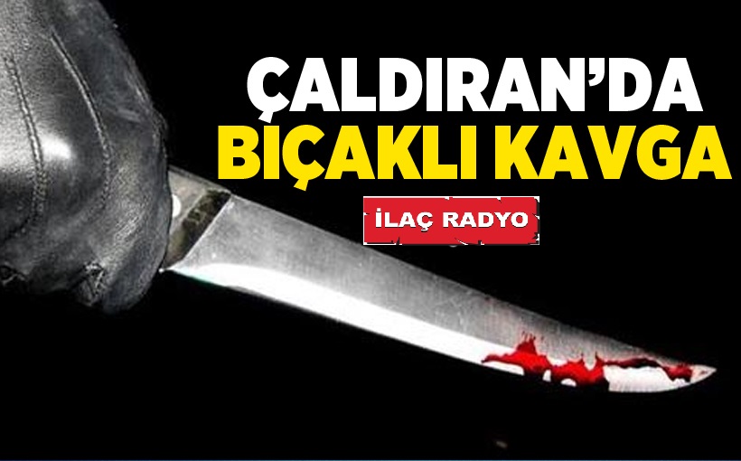 Çaldıran'da Bıçaklı Kavga