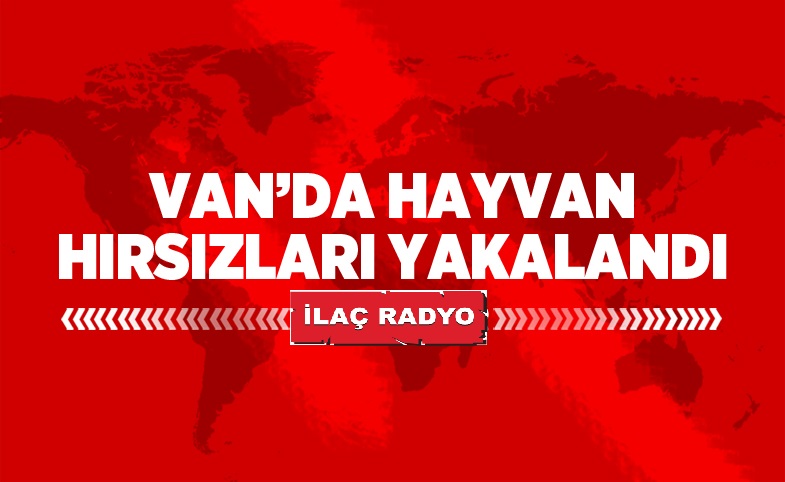 Van'da hayvan hırsızları yakalandı