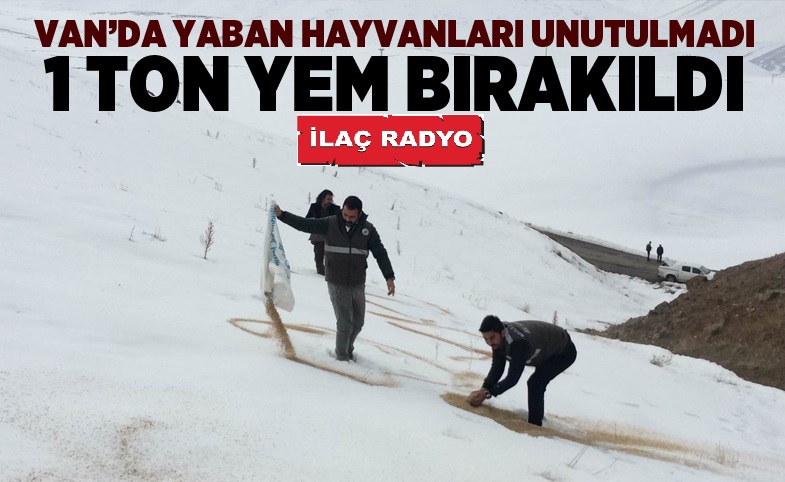 Van’da yaban hayvanları için doğaya yem bırakıldı