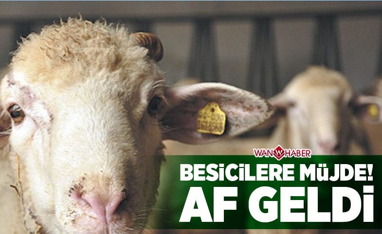 BESİCİLERE MÜJDE! AF GELDİ