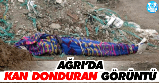 Ağrı'da Kan Donduran Görüntü