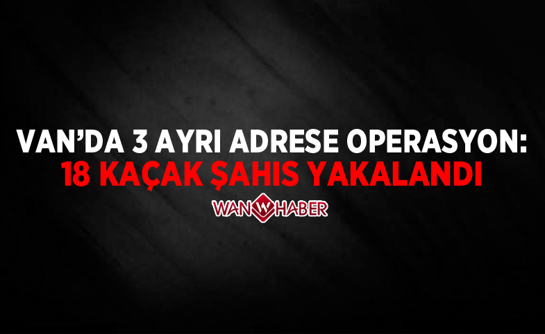 Van'da 3 ayrı adrese operasyon