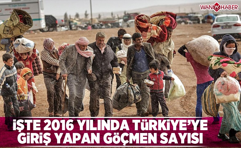 2016 yılında Türkiye'ye kaç göçmen giriş yaptı?