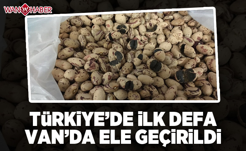 Türkiye'de ilk defa Van'da ele geçirildi