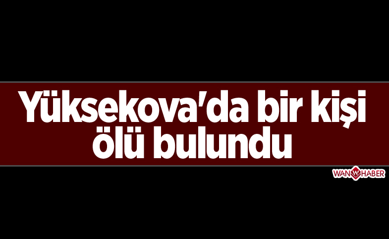 Yüksekova'da bir kişi ölü bulundu