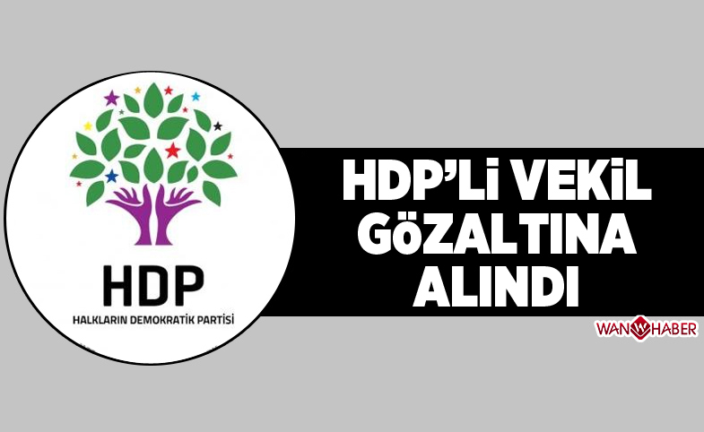 HDP'Lİ VEKİL GÖZALTINA ALINDI