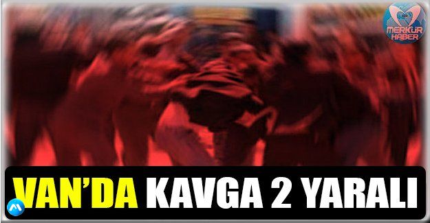 Çaldıran’da Kavga: 2 Yaralı