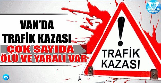 Başkale’de Trafik Kazası: 20 Yaralı