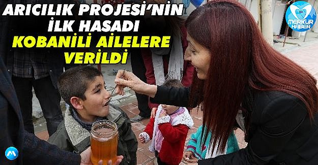 Arıcılık Projesi’nin İlk Hasadı Kobanili Ailelere Verildi