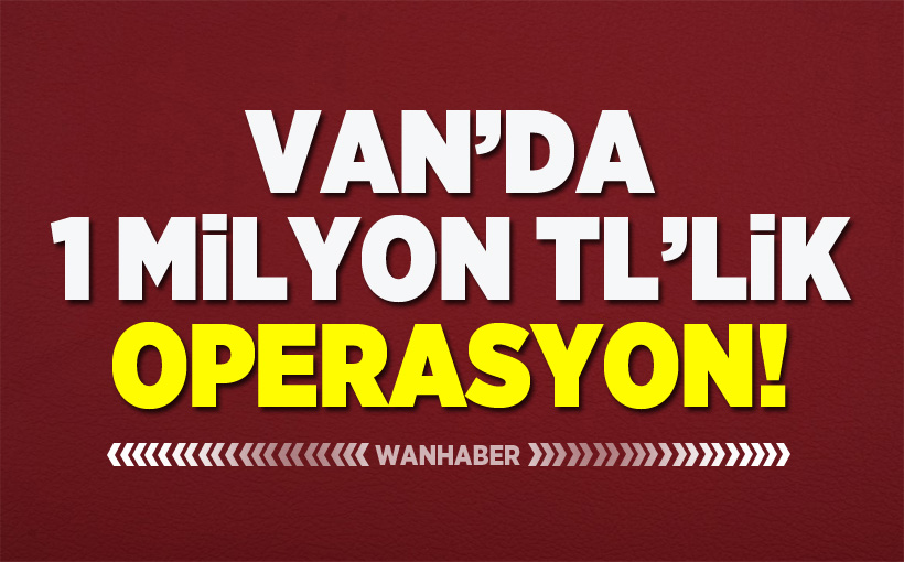 Van'da 1 milyon TL'lik operasyon: 2 kişi gözaltında!