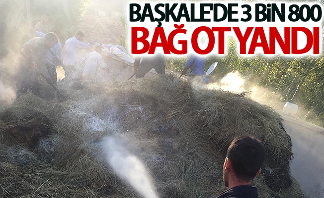 Başkale'de 3 bin 800 bağ ot yandı