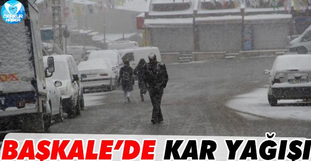 Başkale'de Kar Yağışı