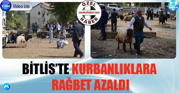 Bitlis'te Kurbanlıklara Rağbet Yok