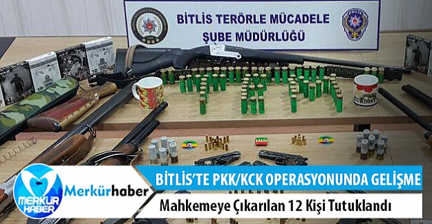 Bitlis’te PKK/KCK’den gözaltına alınan 12 kişi tutuklandı