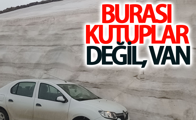 Burası kutuplar değil, Van