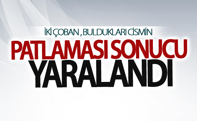 Çaldıran'da yerde buldukları cisim patlayan 2 çoban yaralandı