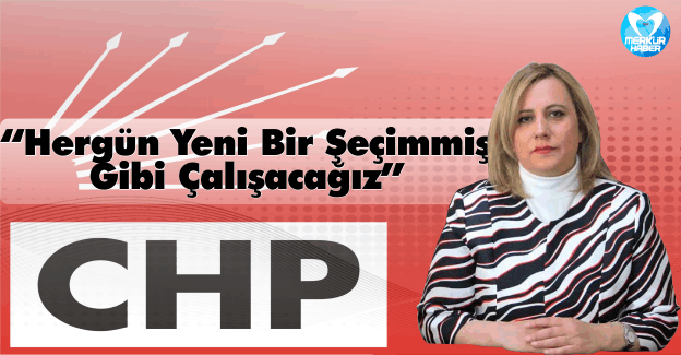 CHP Van İl Başkanı İlkay Gökdere'den Seçim Değerlendirmesi