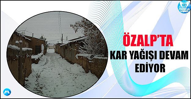 Özalp’te Kar Yağışı Devam Ediyor