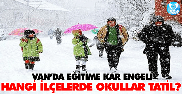 Van’da Eğitime Kar Engeli,Hangi İlçelerde Okullar Tatil?