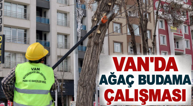 Van’da ağaç budama çalışması