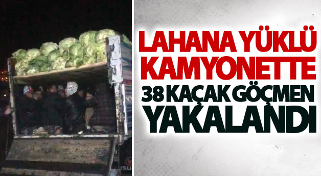 Lahana yüklü kamyonette 38 kaçak göçmen yakalandı