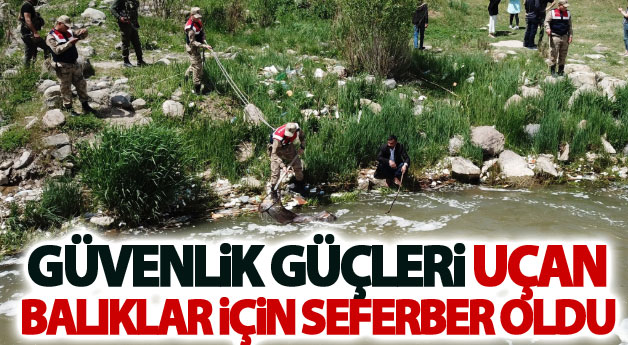 Güvenlik güçleri uçan balıklar için seferber oldu