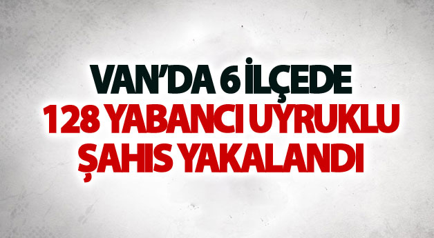 Van'da 6 ilçede 128 yabancı uyruklu şahıs yakalandı