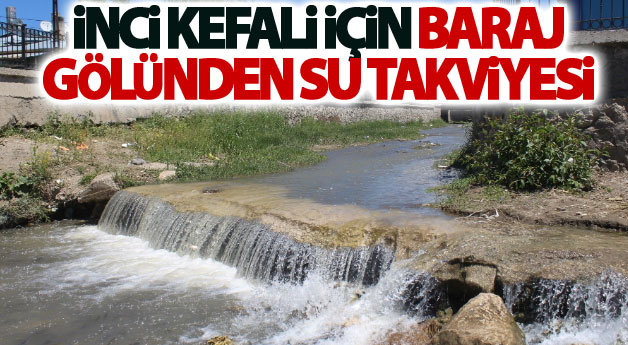 İnci kefali için baraj gölünden su takviyesi