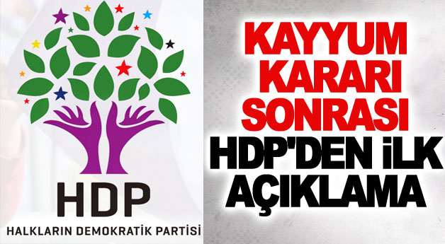 Kayyum kararı sonrası HDP'den ilk açıklama