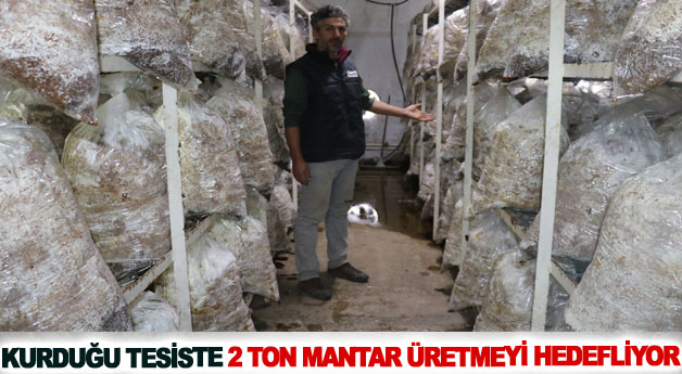 Kurduğu tesiste 2 ton mantar üretmeyi hedefliyor