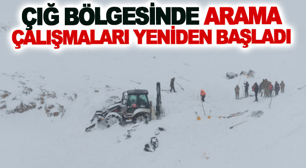 Çığ bölgesinde arama çalışmaları yeniden başladı