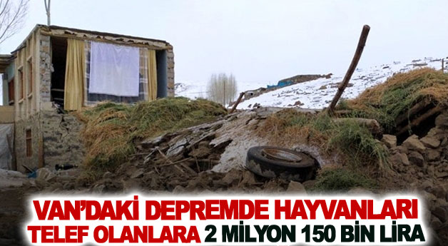 Van’daki depremde hayvanları telef olanlara 2 milyon 150 bin lira