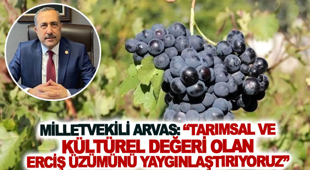 Milletvekili Arvas: Tarımsal ve kültürel değeri olan Erciş üzümünü yaygınlaştırıyoruz