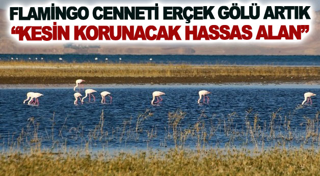 Flamingo cenneti Erçek Gölü artık kesin korunacak hassas alan ilan edildi