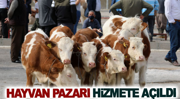 Hayvan pazarı hizmete açıldı