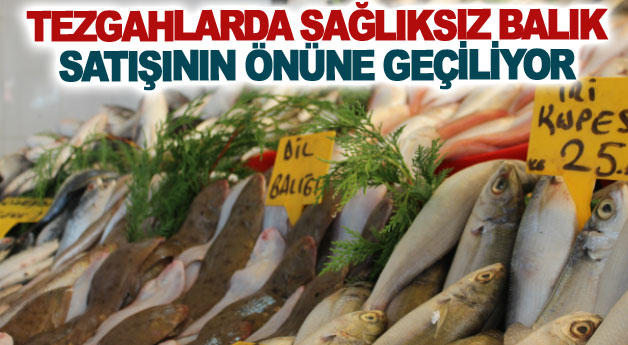 Tezgahlarda sağlıksız balık satışının önüne geçiliyor