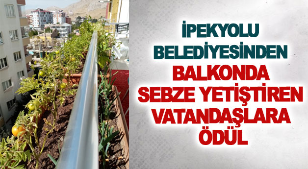 İpekyolu Belediyesinden balkonda sebze yetiştiren vatandaşlara ödül