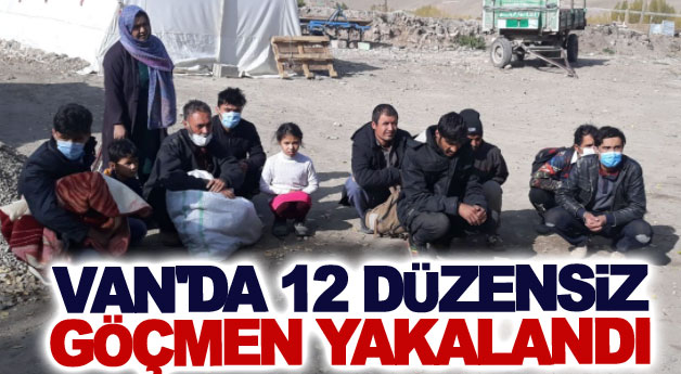 Van'da 12 düzensiz göçmen yakalandı