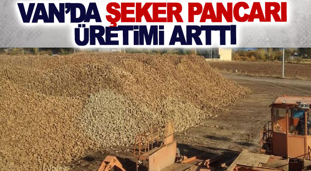 Van’da şeker pancarı üretimi arttı