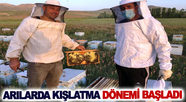 Arılarda kışlatma dönemi başladı