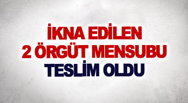 İkna edilen 2 örgüt mensubu teslim oldu