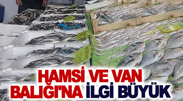 Hamsi ve Van Balığı'na ilgi büyük