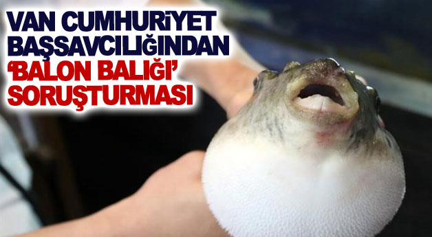 Van Cumhuriyet Başsavcılığından ‘balon balığı’ soruşturması