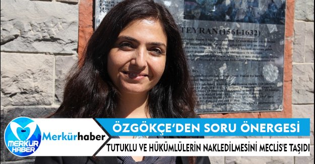 HDP'li Özgökçe, tutuklu ve hükümlülerin nakledilmesini Meclis'e taşıdı